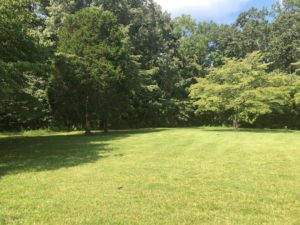 land for sale near Clarksville TN, builder your dream home
