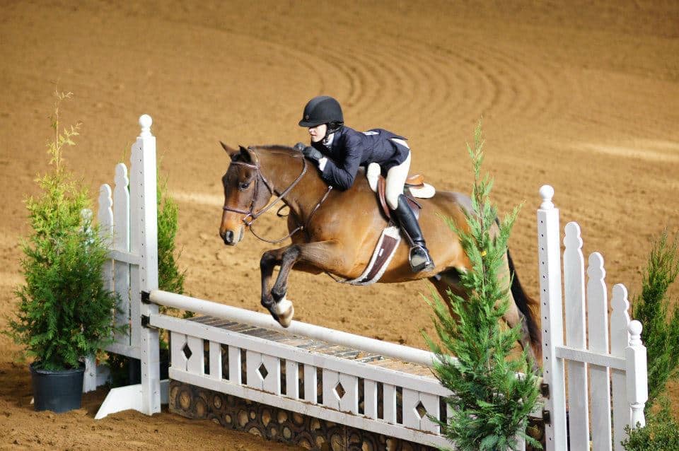equestrian properties for sale in Tennessee