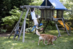Boy playing on swing set with his dog