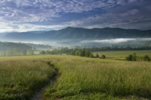 View of a meadow and the Smoky Mountains in East TN. We offer Homes for Sale in Eastern TN.